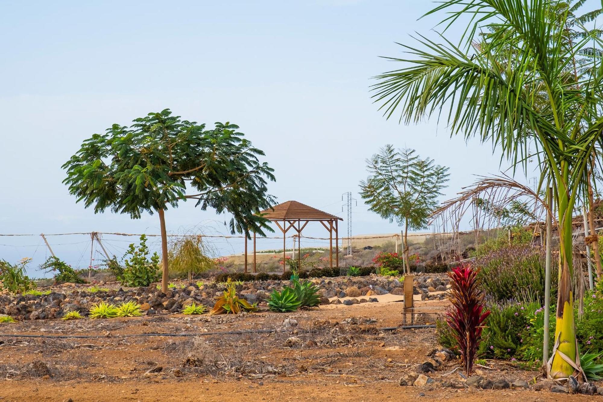 Tenerife Healing Garden Guia de Isora  Bagian luar foto