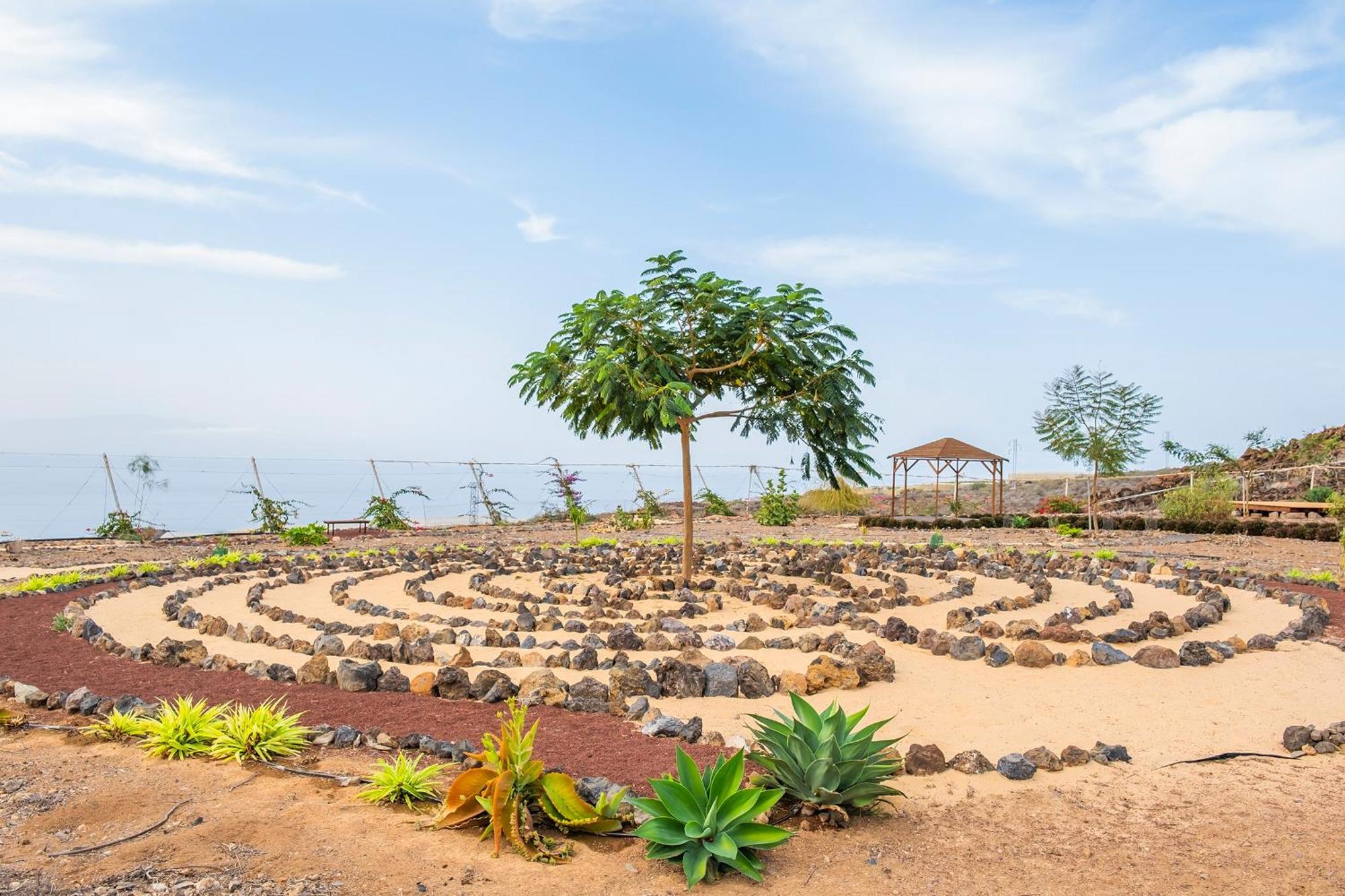 Tenerife Healing Garden Guia de Isora  Bagian luar foto