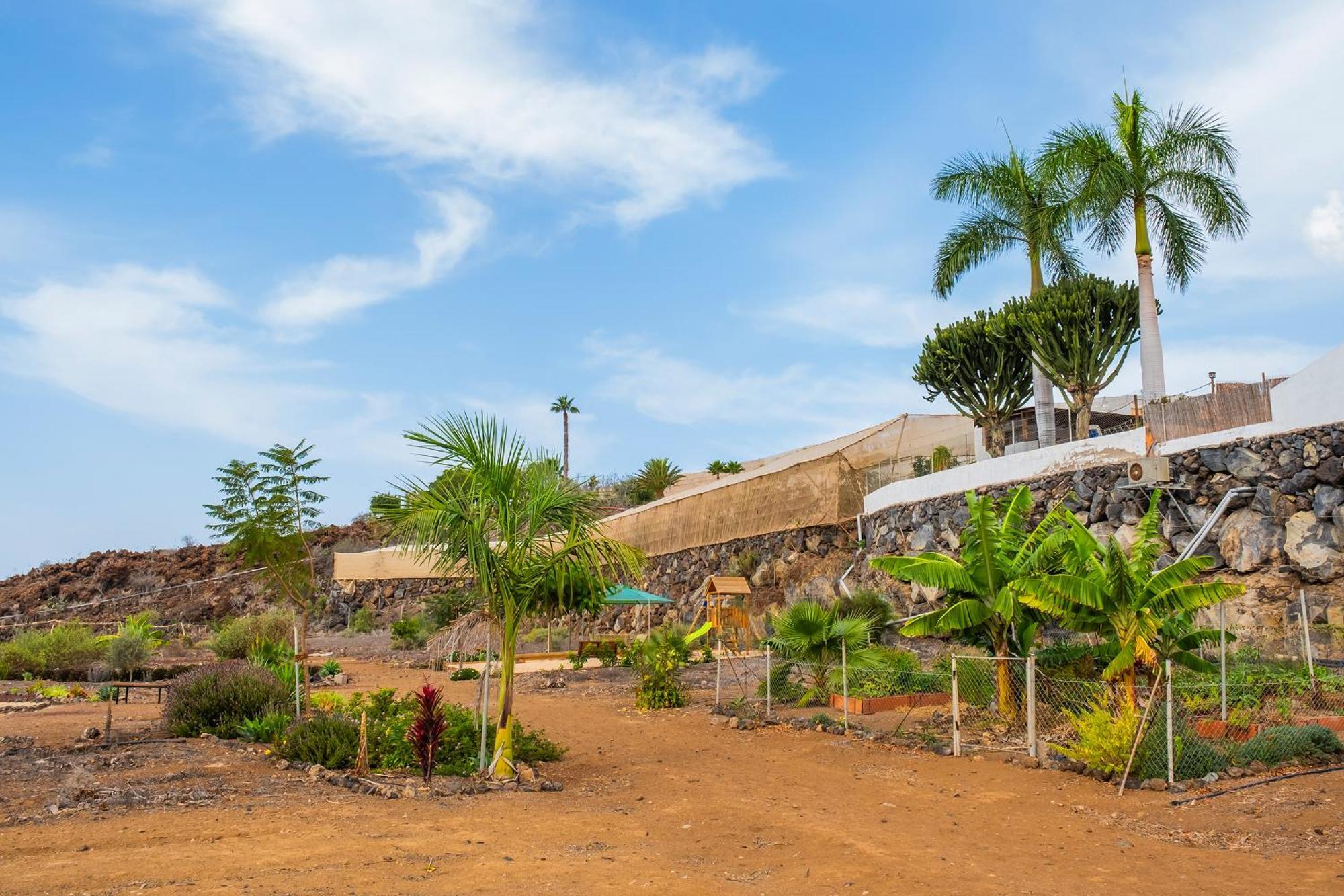 Tenerife Healing Garden Guia de Isora  Bagian luar foto